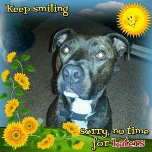 Meet your Posher, Sandra